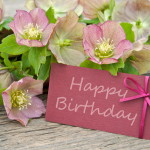 Happy birthday flowers